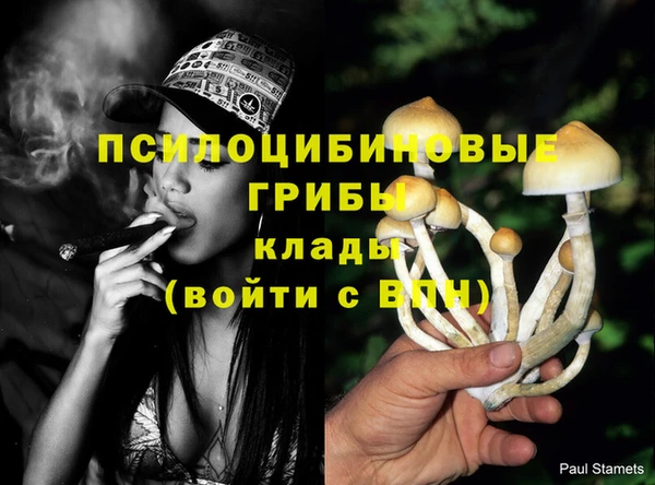 марки nbome Баксан