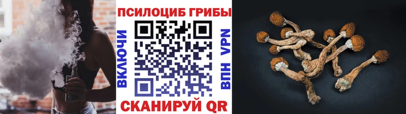 Псилоцибиновые грибы Psilocybine cubensis  блэк спрут ТОР  Вязьма 