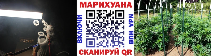 Марихуана конопля Вязьма